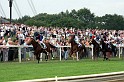 Ascot Renntag09   025